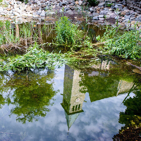 Onze binnentuin, oase van rust 