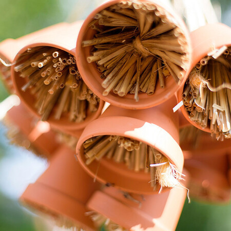 Onze binnentuin, oase van rust 